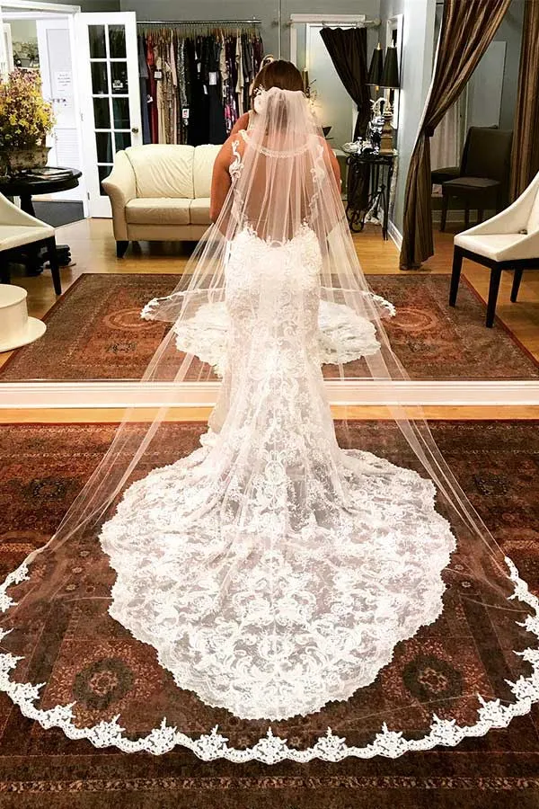 Mermaid V Neck Sheer Back Long Wedding Dress With Train WW266